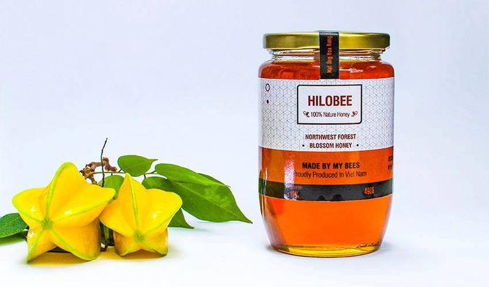 Hình ảnh Hilobee 1