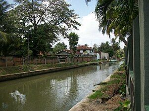 Kênh đào Hà Lan ở Negombo, Sri Lanka