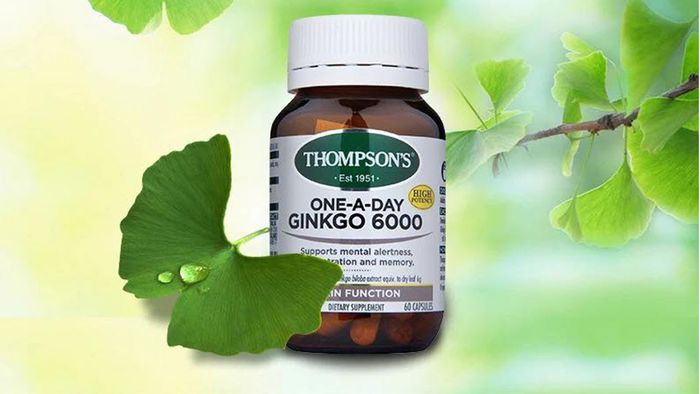 Hình ảnh 2 của Viên hỗ trợ tuần hoàn não Thompson’s Ginkgo