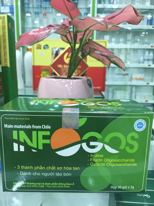 Hình ảnh INFOGOS 2