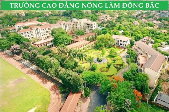 Hình ảnh 1 của Trường Cao đẳng Nông Lâm Đông Bắc