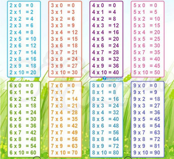 Ảnh minh họa (Nguồn từ internet) ảnh 1