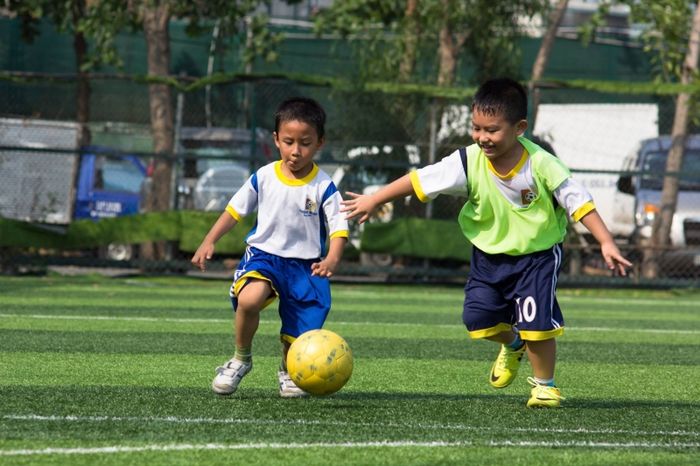 Trung tâm bóng đá Dương Minh TP. Hồ Chí Minh hình 2