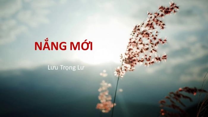 Hình ảnh minh họa (Từ internet) - Ảnh 1