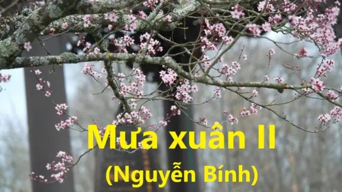 Hình minh họa (Nguồn từ internet) hình 1