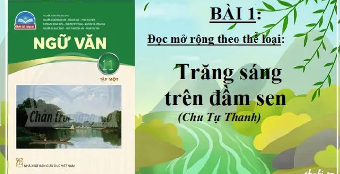 Hình minh họa (Nguồn internet) - ảnh 1