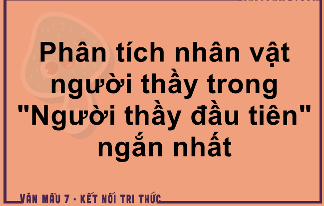 Hình minh họa (Nguồn từ internet) ảnh 1