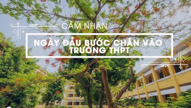 Hình minh họa (Nguồn internet) ảnh 1