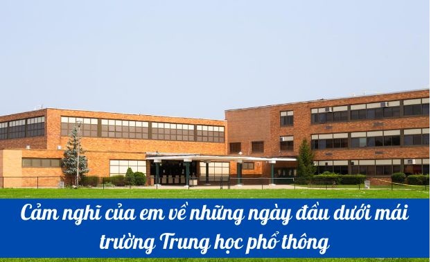 Hình minh họa (Nguồn internet) ảnh 1