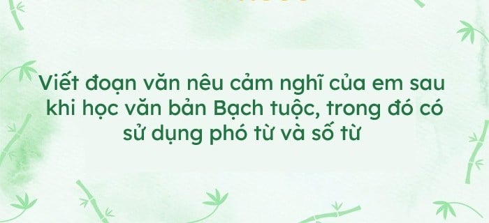 Hình ảnh minh họa (Nguồn internet) ảnh 1