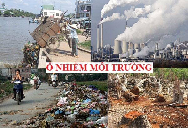 Hình minh họa (Nguồn: Internet) ảnh 1