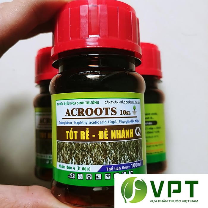 Hình ảnh thuốc điều hòa sinh trưởng ACROOTS 10SL 2