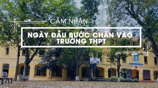 Hình minh họa (Nguồn internet) ảnh 1