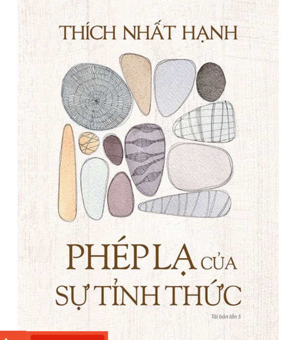 Phép Màu của Sự Tỉnh Thức - Ảnh 1