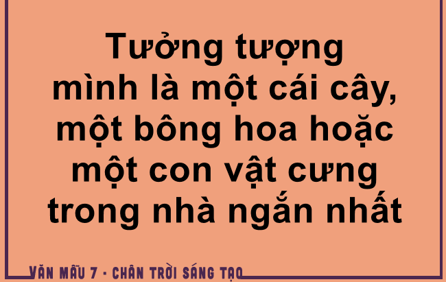 Ảnh minh họa (Nguồn từ internet) hình 1