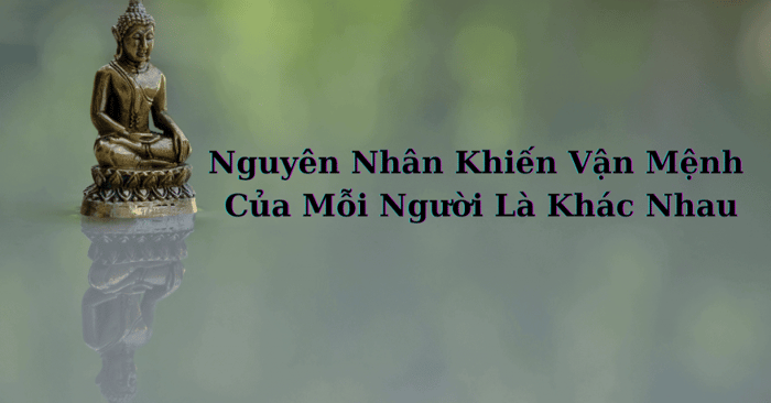 Hình minh họa (Nguồn từ internet) hình 1