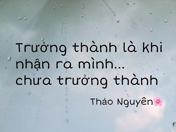 Hình minh họa (Nguồn từ internet) ảnh 1