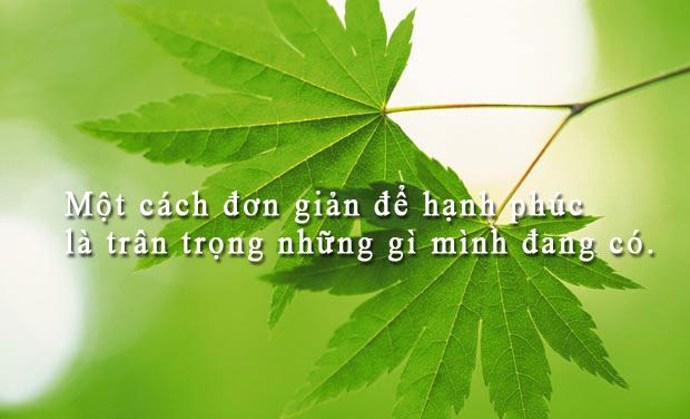 Hình ảnh minh họa (Nguồn: Internet) hình 1