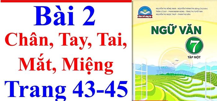 Ảnh minh họa (Nguồn internet) ảnh 1