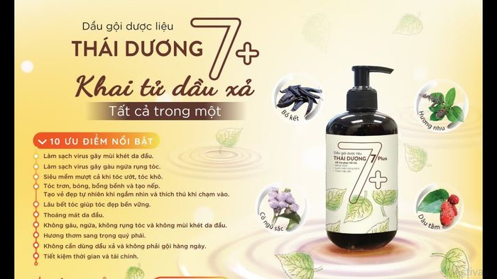 Dầu gội thảo dược Thái Dương 7 Plus - Hình 2