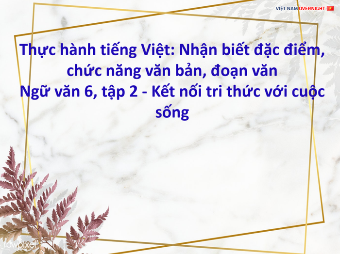 Hình minh họa (Nguồn internet) - Ảnh 2