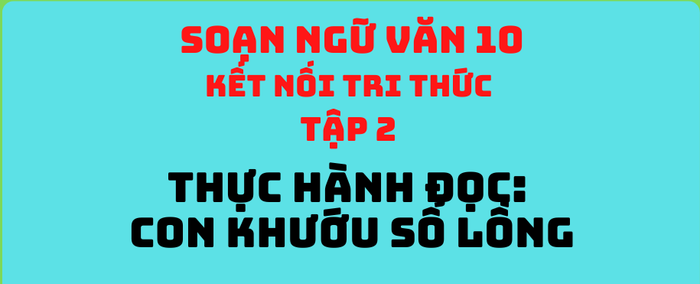 Hình minh họa (Nguồn từ internet) ảnh 1