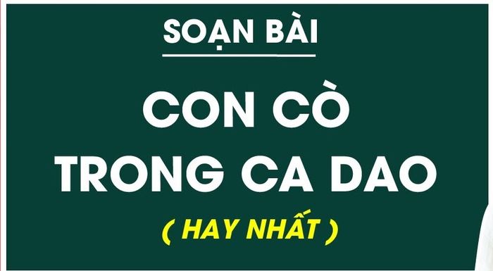 Hình ảnh minh họa (Nguồn: internet) ảnh 1