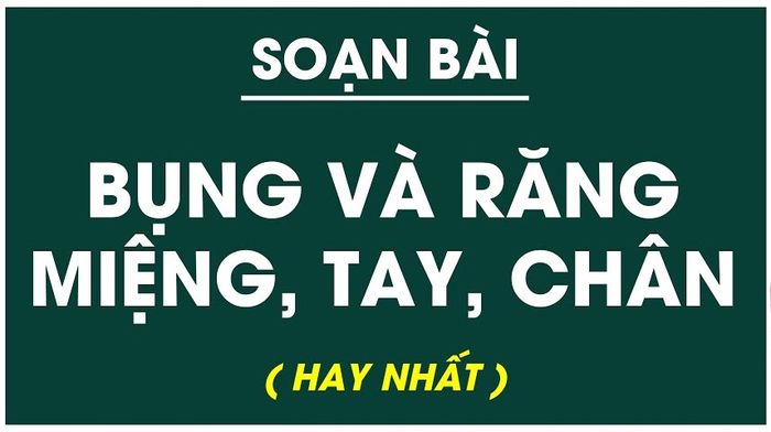 Hình minh họa (Nguồn từ internet) ảnh số 1