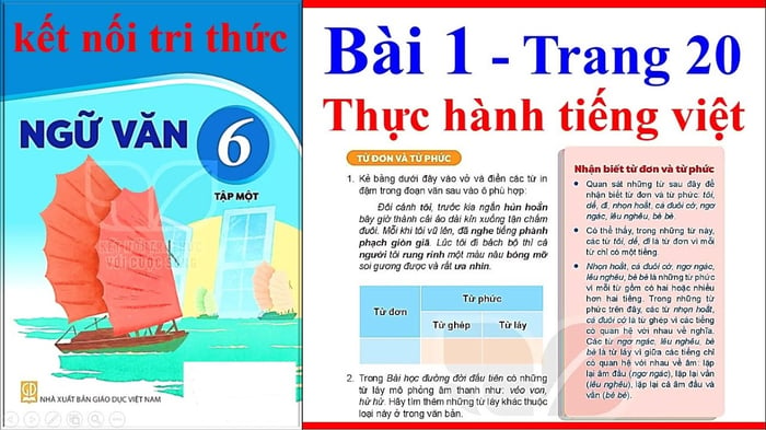 Hình ảnh minh họa (Nguồn từ internet) - ảnh 1