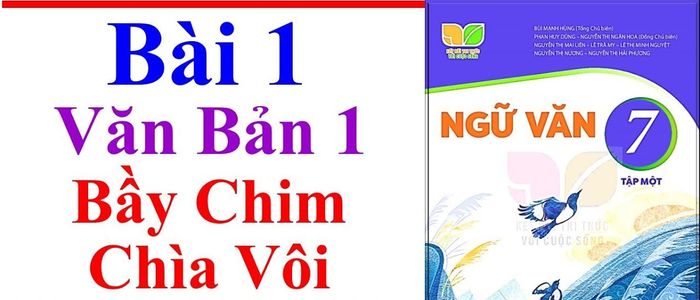 Hình minh họa (Nguồn từ internet) hình 1