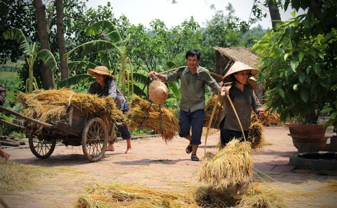 Hình minh họa (Nguồn internet) - ảnh 1