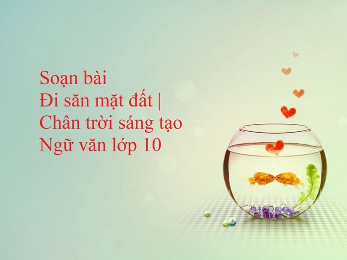 Ảnh minh họa (Nguồn từ internet) - Ảnh 1