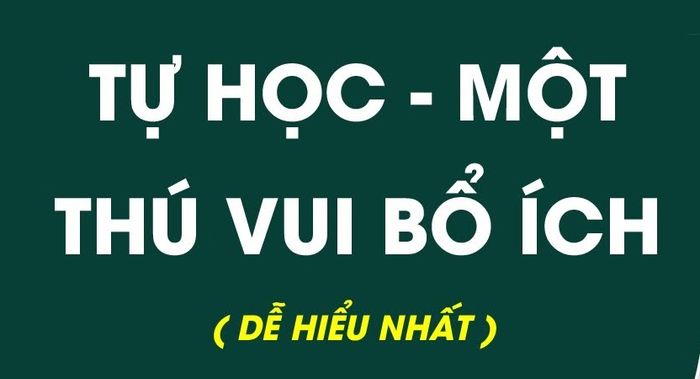 Ảnh minh họa (Nguồn internet) - Hình 2