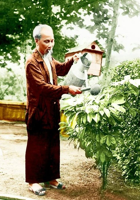 Hình minh họa (Nguồn từ internet) hình 1