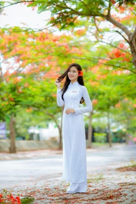 Hình minh họa (Nguồn từ internet) ảnh 1