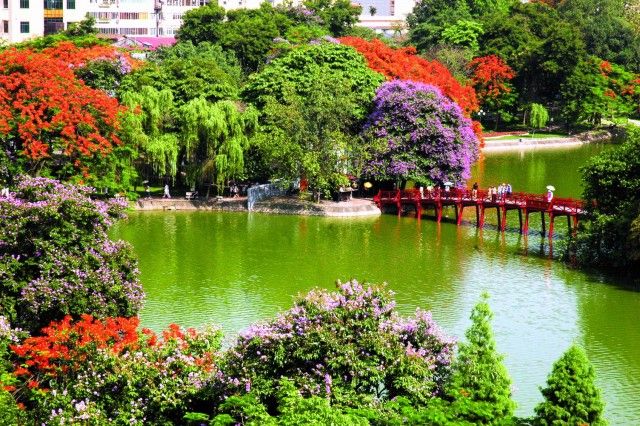 Hình minh họa (Nguồn từ internet) hình 1
