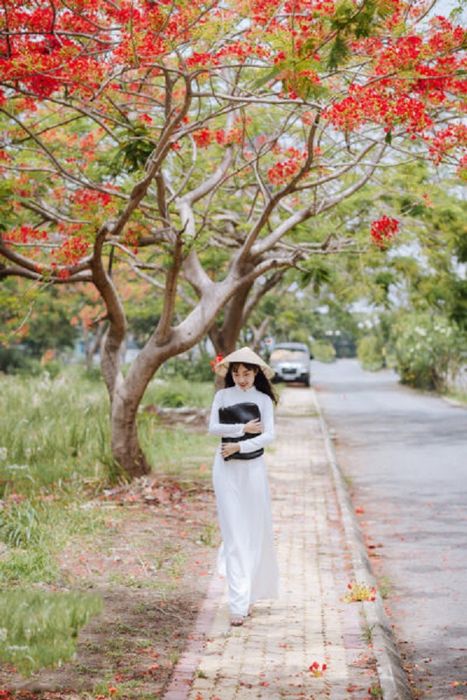 Hình minh họa (Nguồn: Internet) hình 1