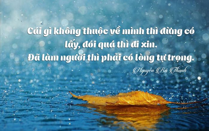 Hình minh họa (Nguồn internet) ảnh 1
