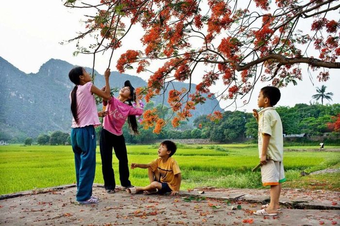 Hình minh họa (Nguồn từ internet) ảnh 1