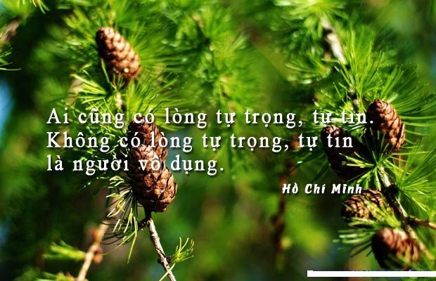Ảnh minh họa (Nguồn internet) ảnh 1