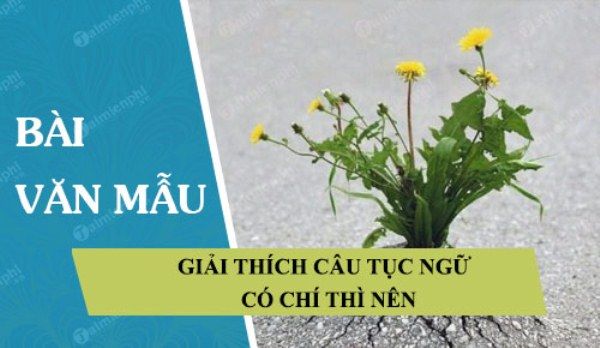 Hình minh họa (Nguồn internet) ảnh 1