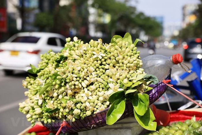 Hình minh họa (Nguồn từ internet) ảnh 1