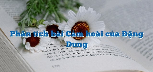 Hình minh họa (Nguồn từ internet) ảnh 1