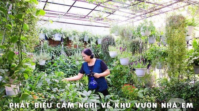 Ảnh minh họa (Nguồn từ internet) hình 1