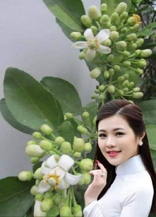 Hình minh họa (Nguồn từ internet) ảnh 1