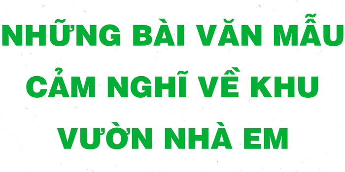 Ảnh minh họa (Nguồn từ internet) hình 1