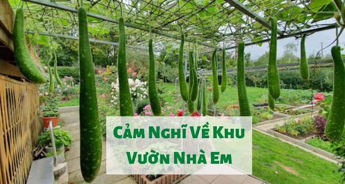 Ảnh minh họa (Nguồn internet) ảnh 1