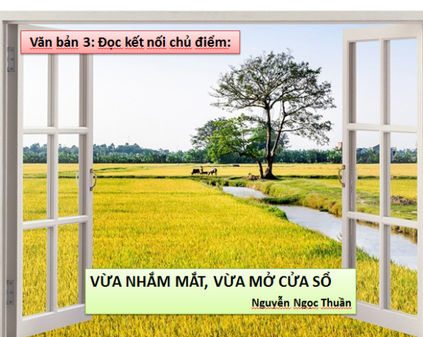 Hình minh họa (Nguồn: Internet) hình 1