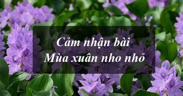 Ảnh minh họa (Nguồn: internet) – hình 1