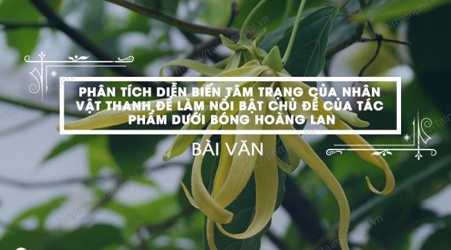 Ảnh minh họa (Nguồn từ internet) ảnh 1